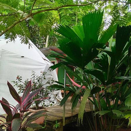 Appartamento Glamping Naioth Guápiles Esterno foto