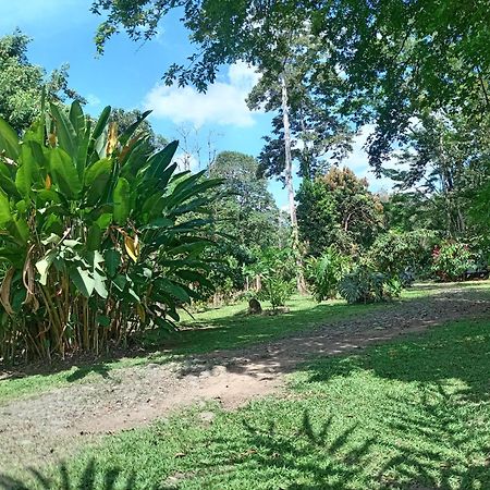 Appartamento Glamping Naioth Guápiles Esterno foto