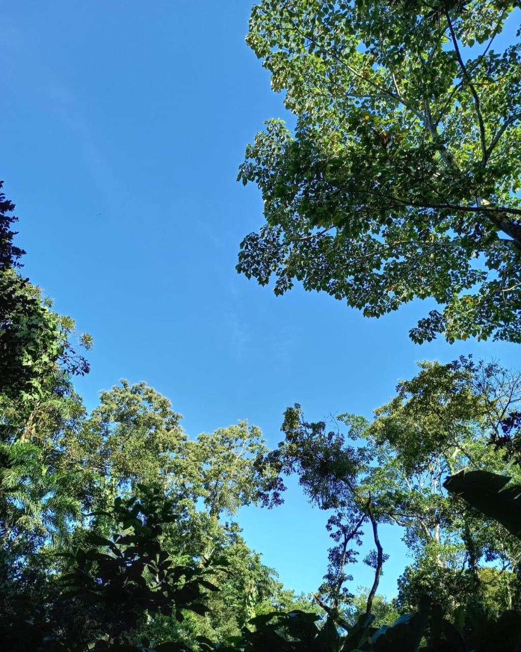 Appartamento Glamping Naioth Guápiles Esterno foto