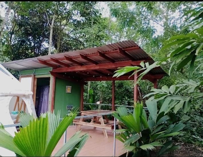 Appartamento Glamping Naioth Guápiles Esterno foto