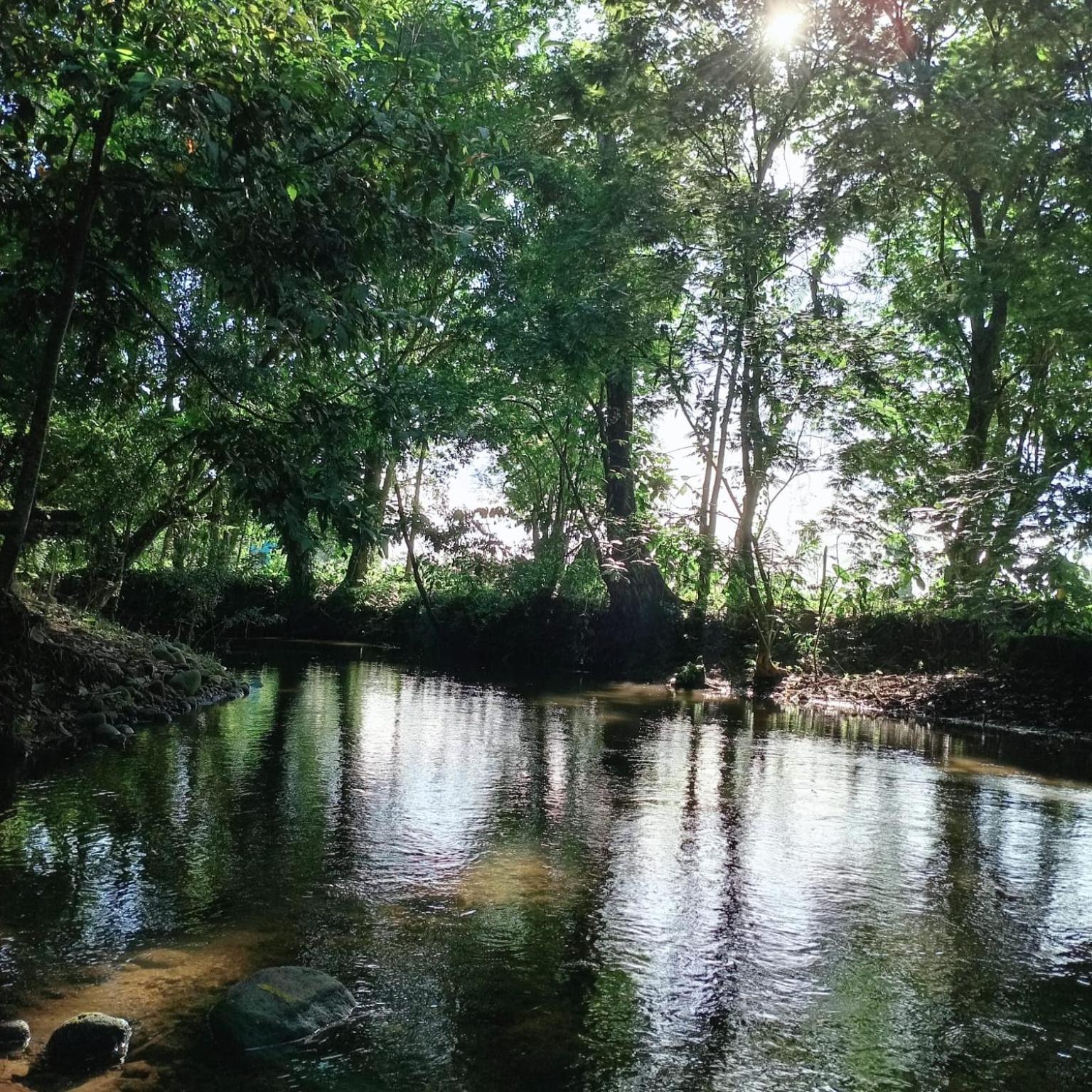 Appartamento Glamping Naioth Guápiles Esterno foto