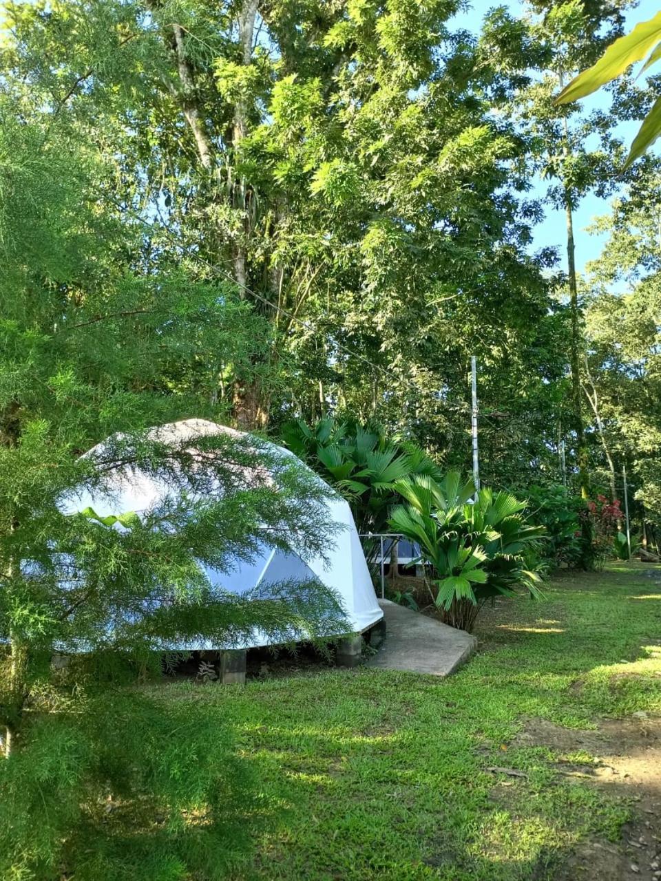 Appartamento Glamping Naioth Guápiles Esterno foto
