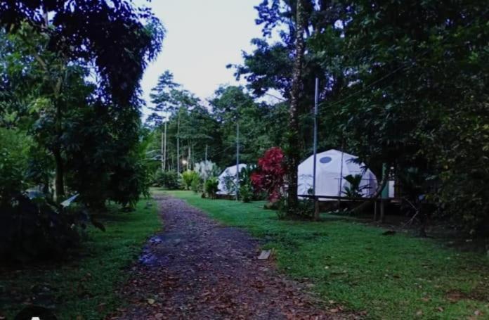 Appartamento Glamping Naioth Guápiles Esterno foto