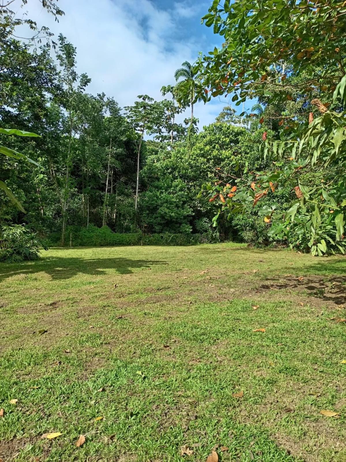 Appartamento Glamping Naioth Guápiles Esterno foto