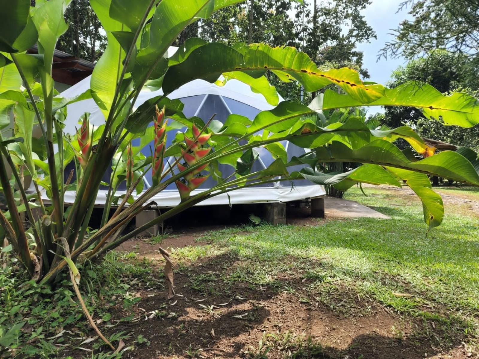 Appartamento Glamping Naioth Guápiles Esterno foto