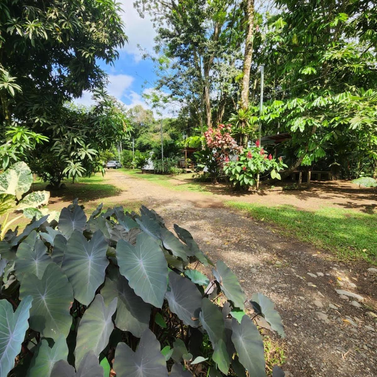 Appartamento Glamping Naioth Guápiles Esterno foto