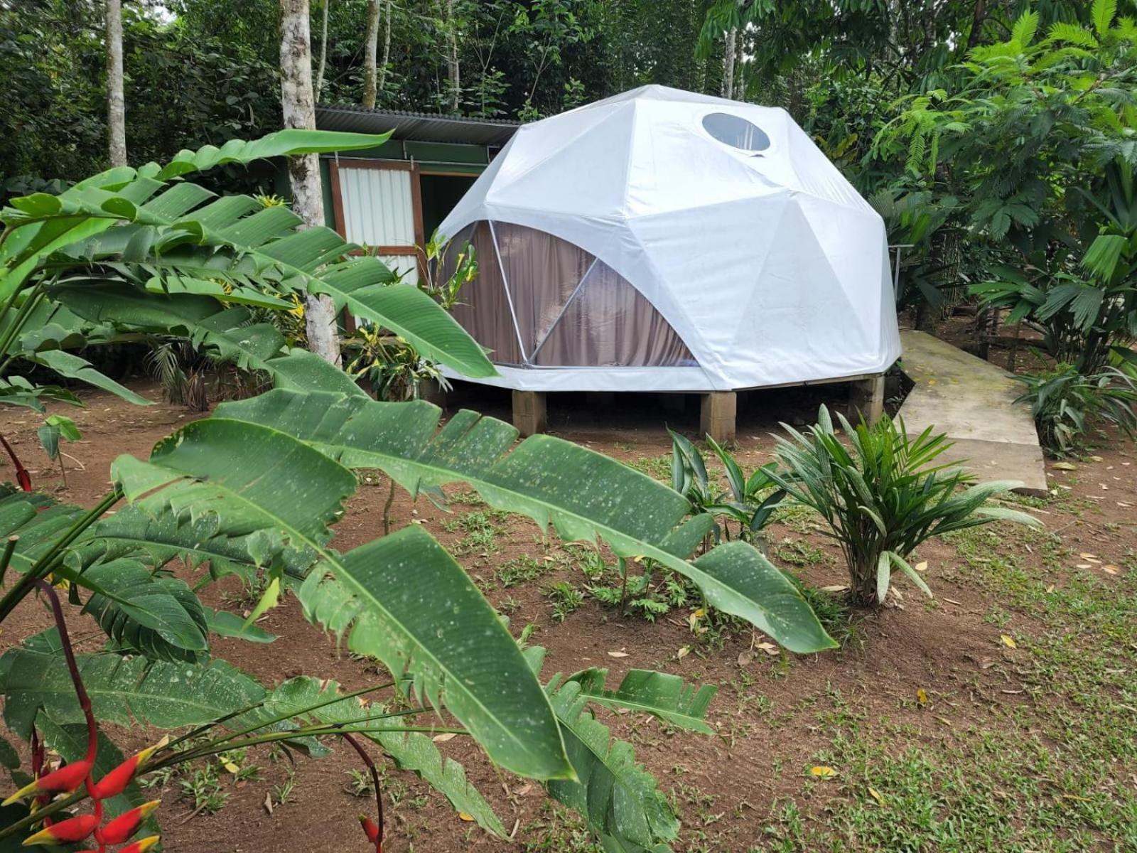 Appartamento Glamping Naioth Guápiles Esterno foto