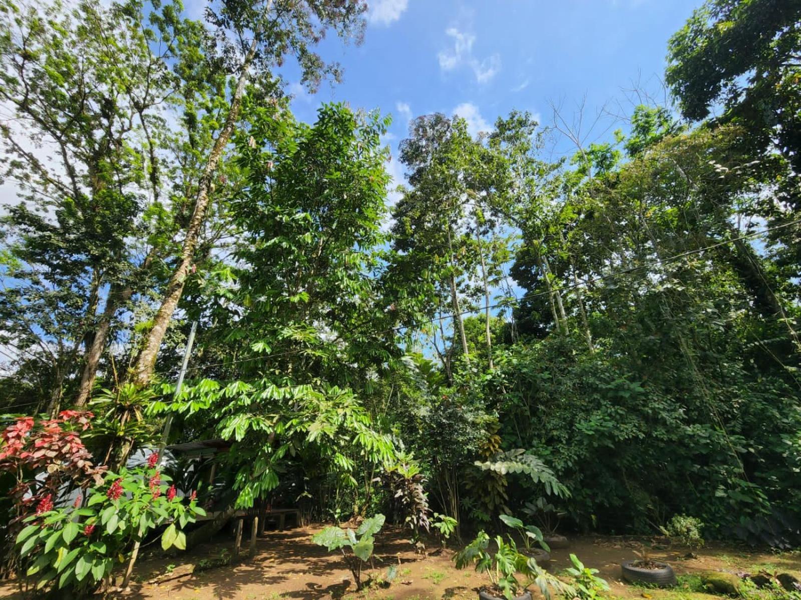 Appartamento Glamping Naioth Guápiles Esterno foto