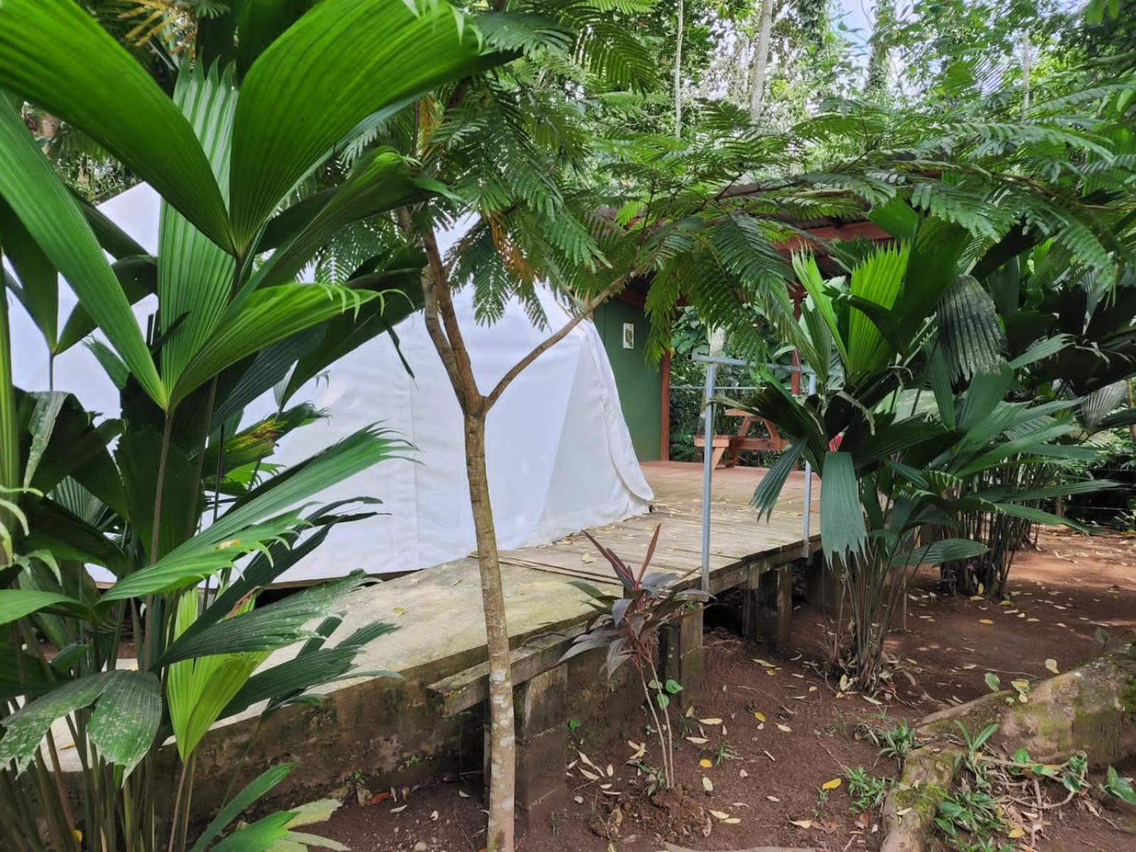 Appartamento Glamping Naioth Guápiles Esterno foto