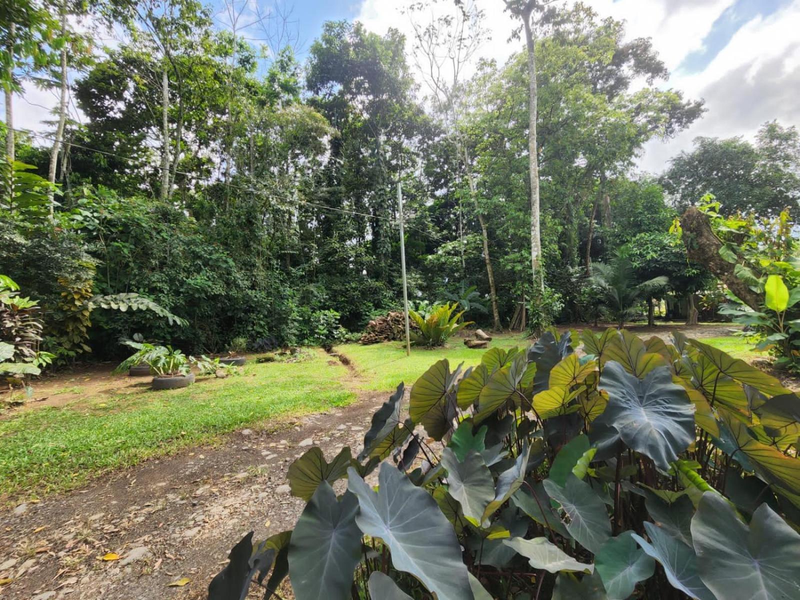 Appartamento Glamping Naioth Guápiles Esterno foto