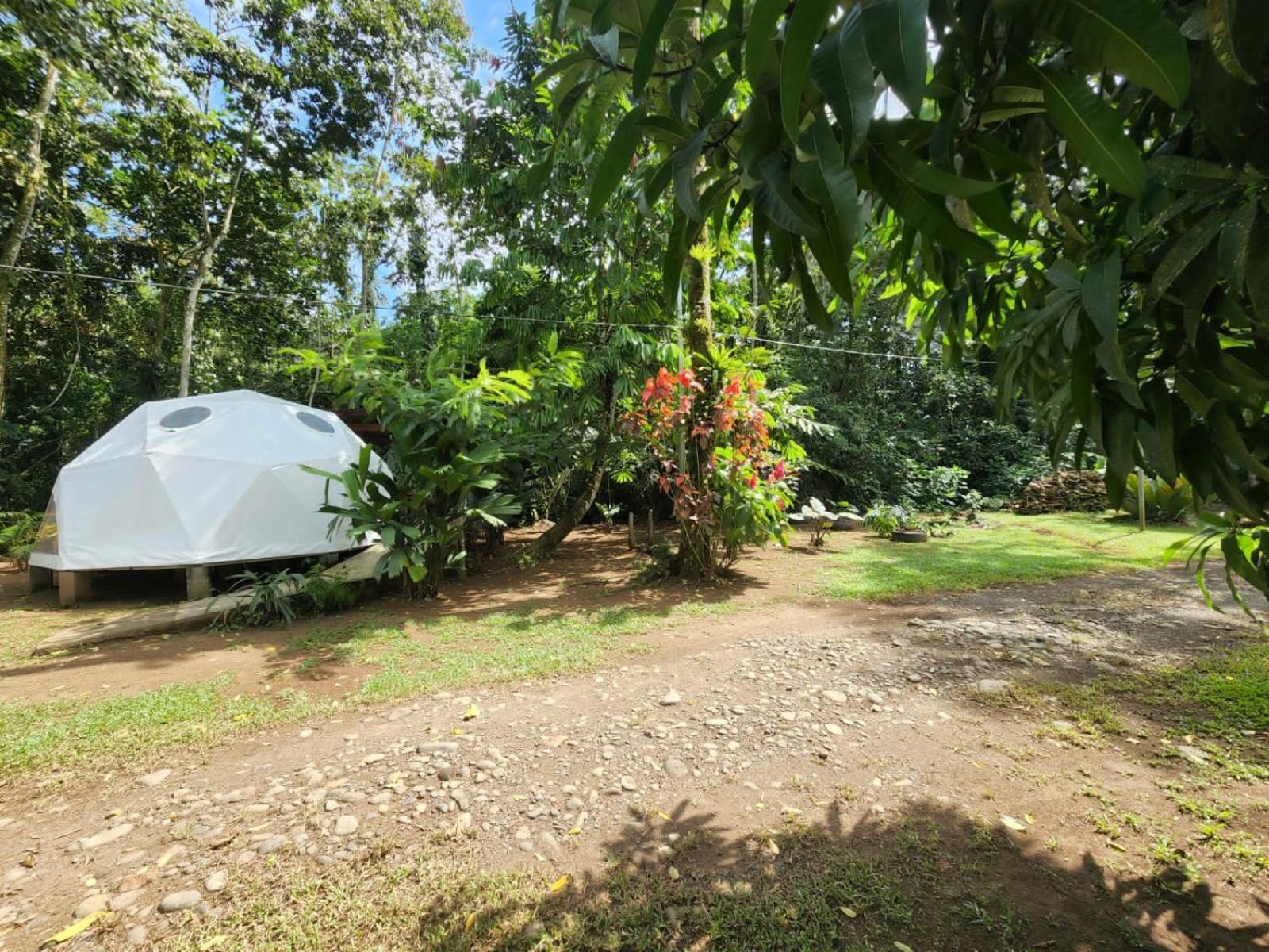 Appartamento Glamping Naioth Guápiles Esterno foto