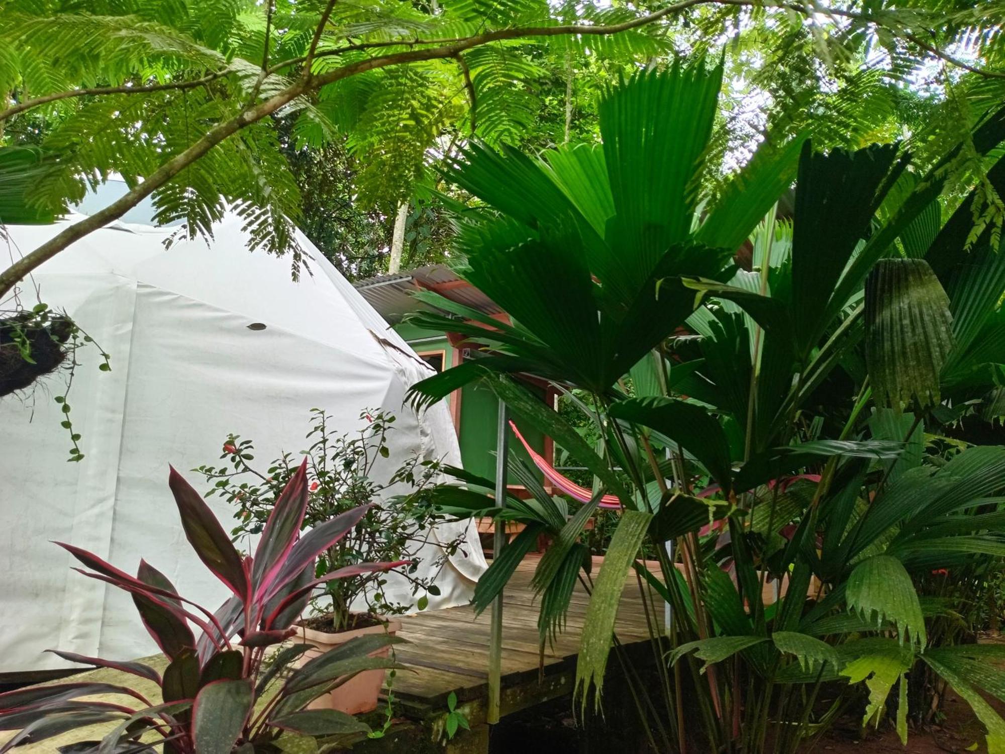 Appartamento Glamping Naioth Guápiles Esterno foto