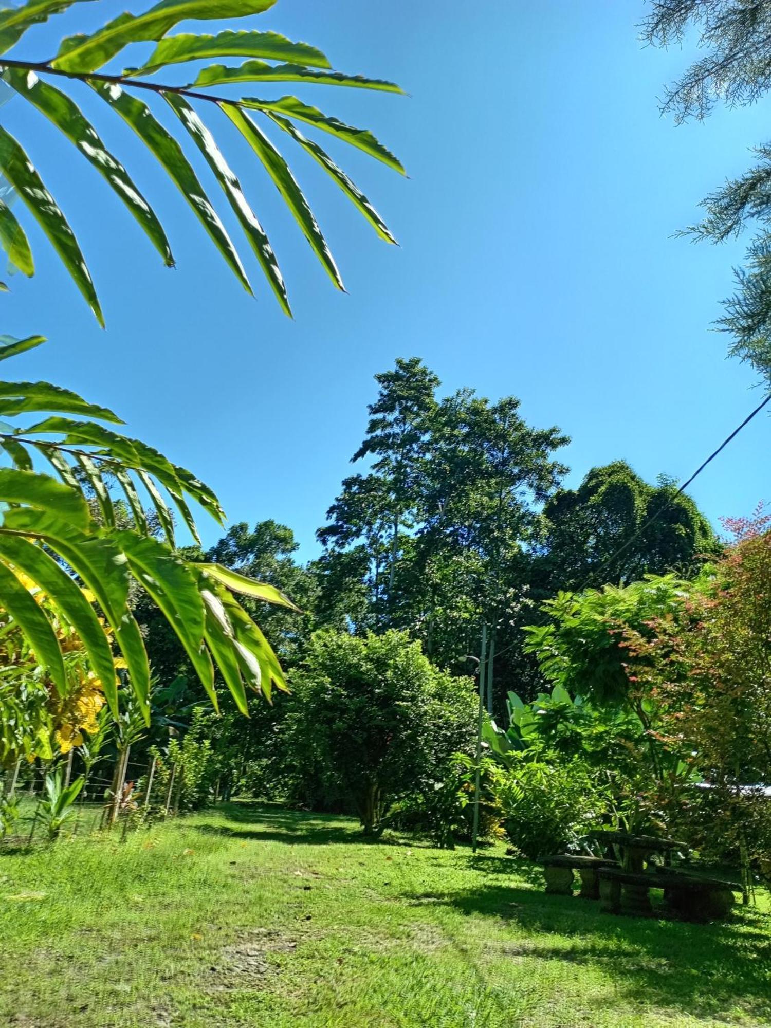 Appartamento Glamping Naioth Guápiles Camera foto