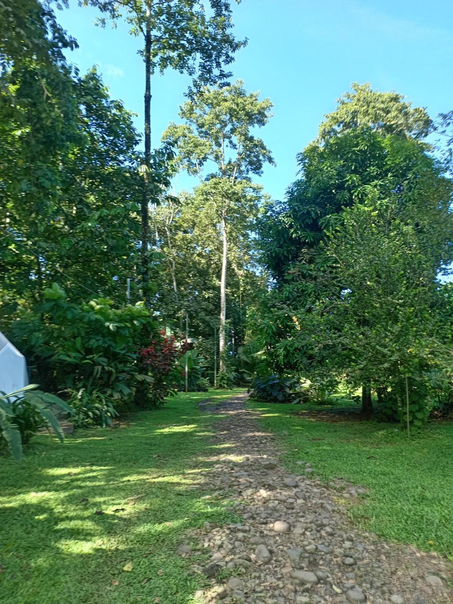Appartamento Glamping Naioth Guápiles Camera foto