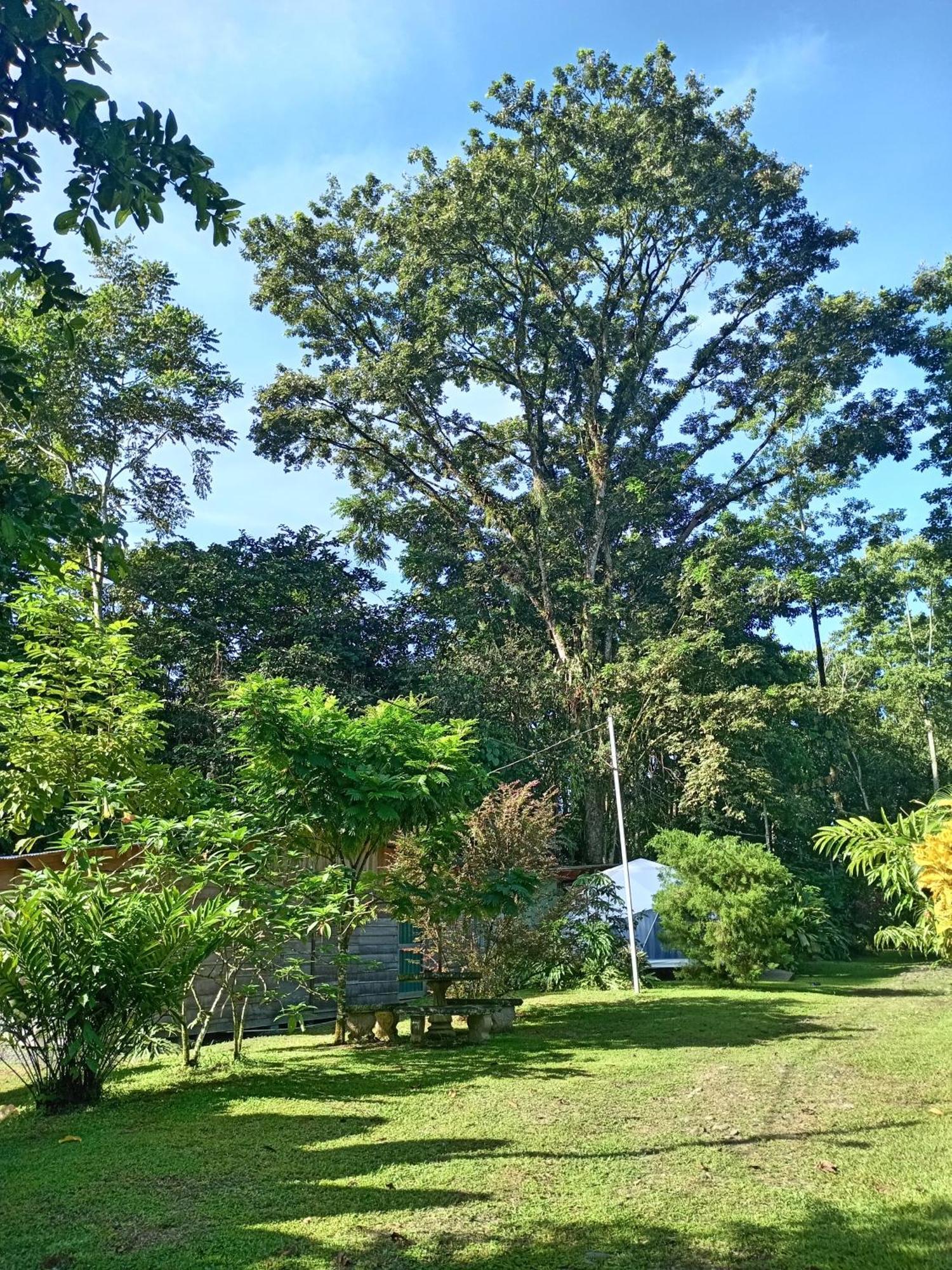 Appartamento Glamping Naioth Guápiles Esterno foto