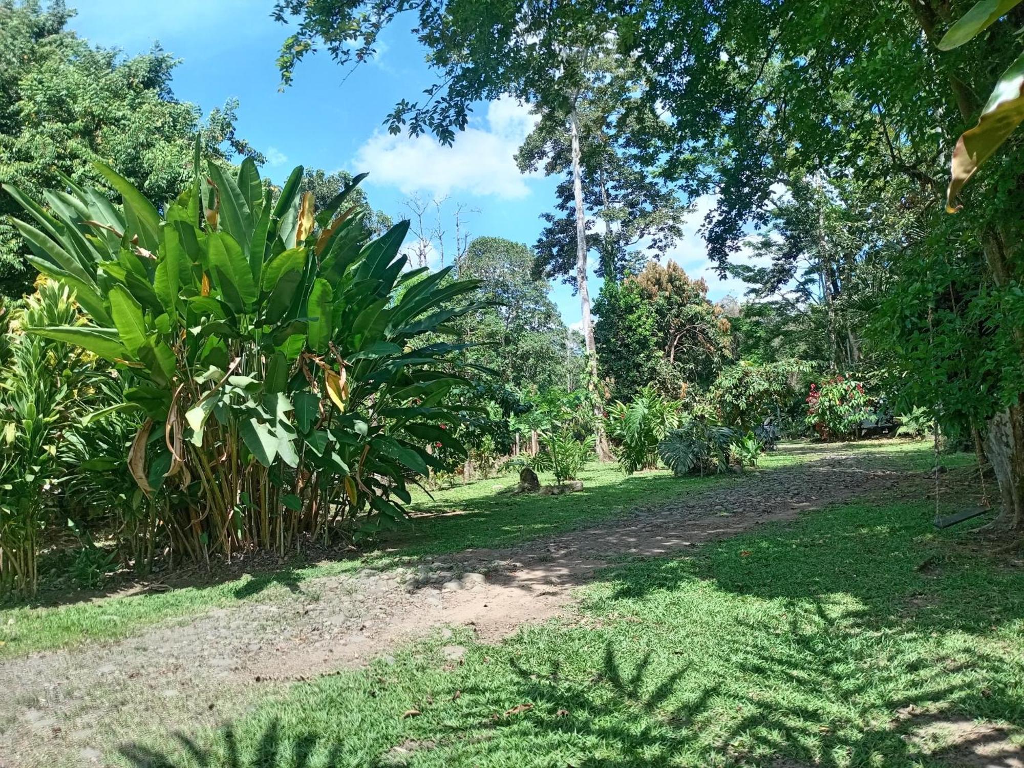 Appartamento Glamping Naioth Guápiles Esterno foto