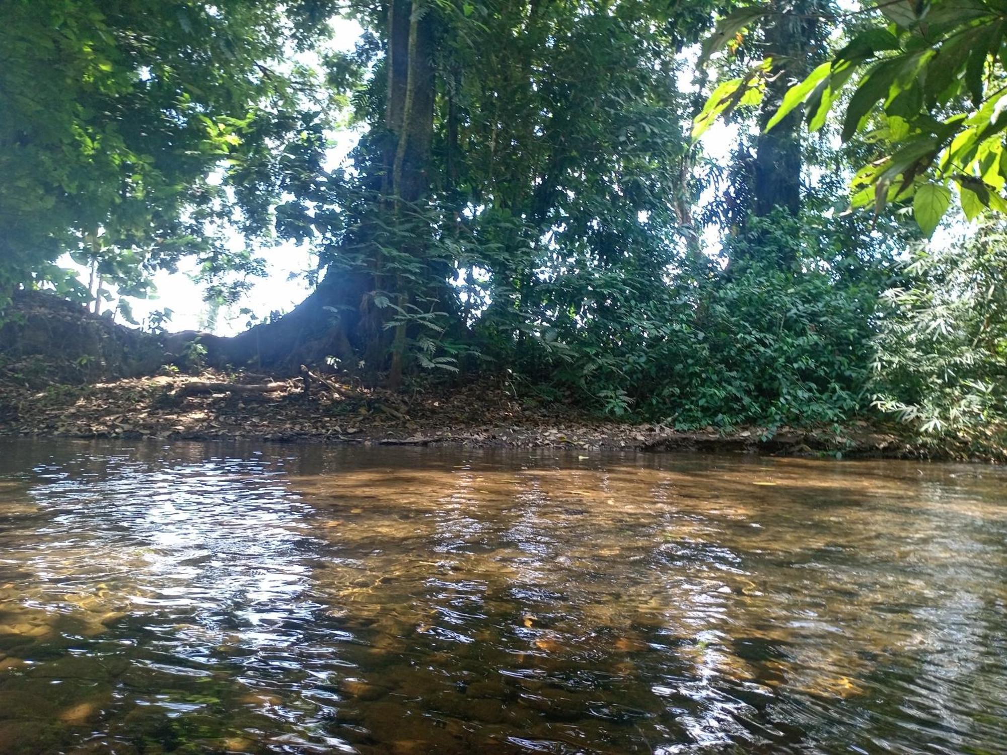 Appartamento Glamping Naioth Guápiles Esterno foto