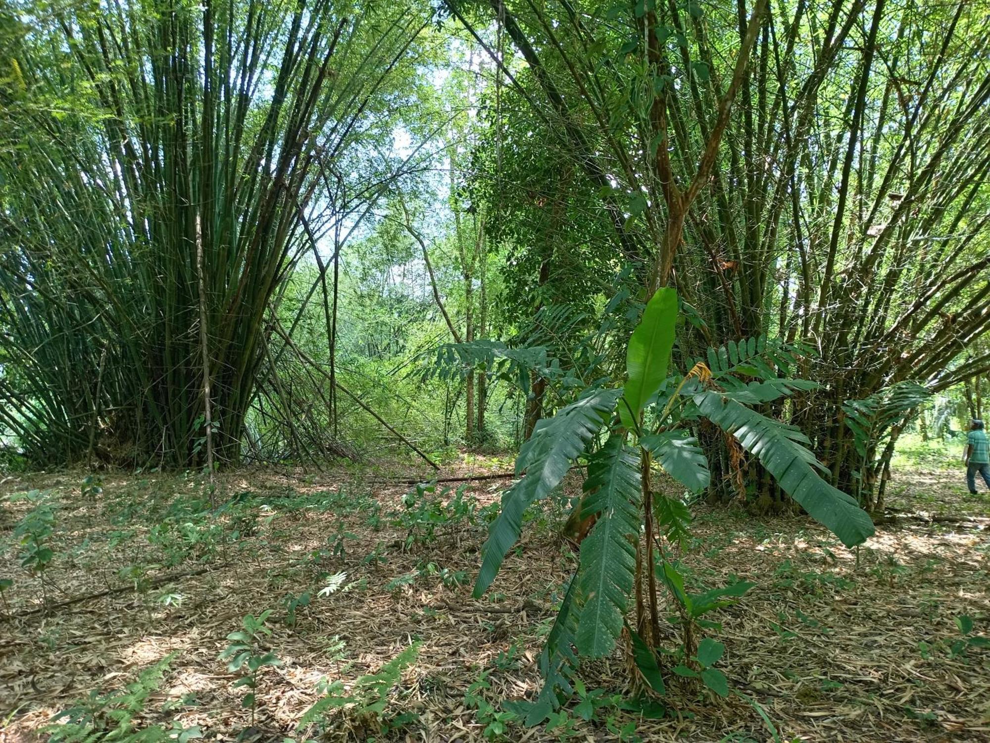 Appartamento Glamping Naioth Guápiles Camera foto