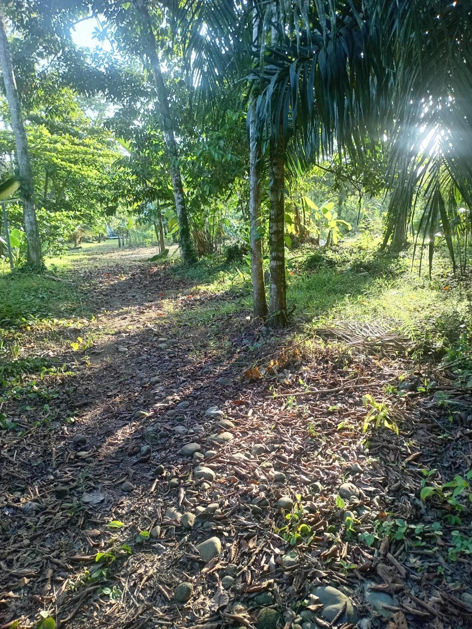 Appartamento Glamping Naioth Guápiles Esterno foto